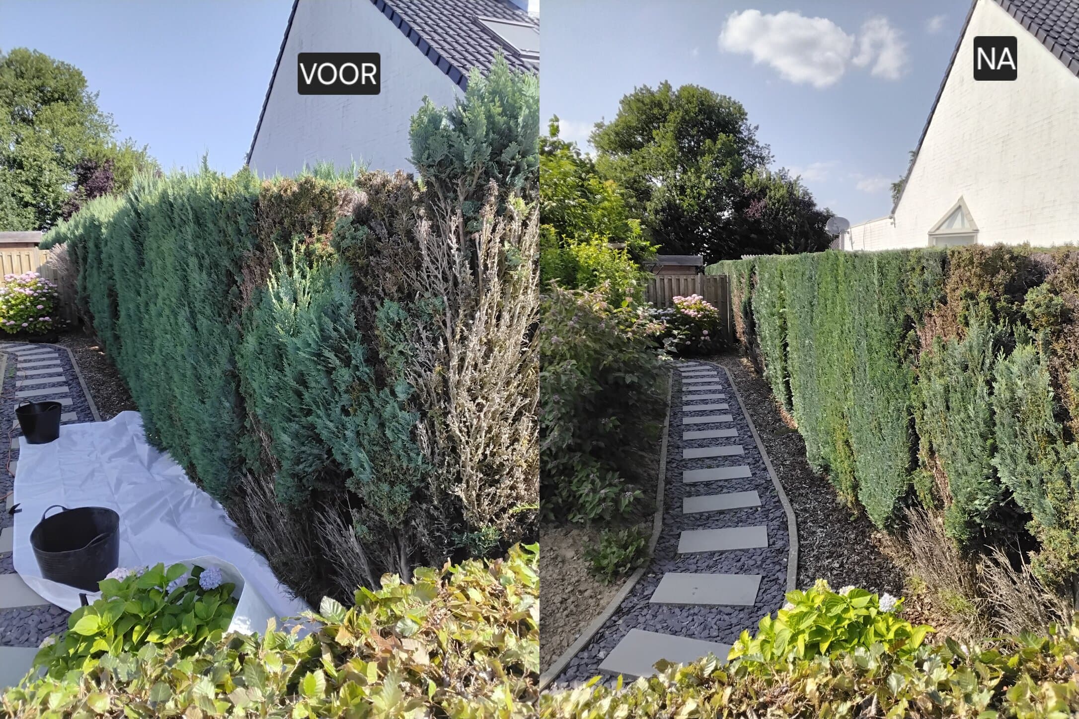 Onderhoud tuinen Druivenstreek - afbeelding 1